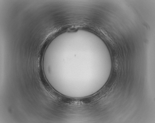 X0000115830543200912041650