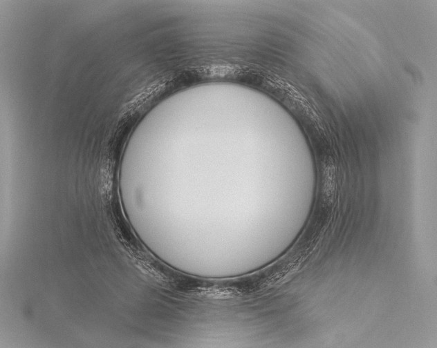 X0000115830545200912041650