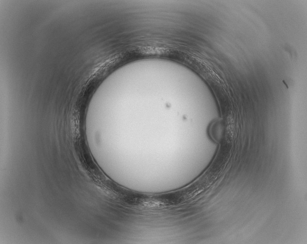 X0000115830547200912041650