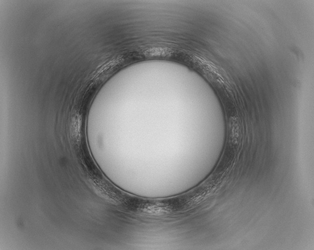 X0000115830550200912041650