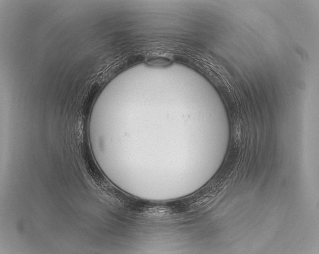 X0000115830551200912041650