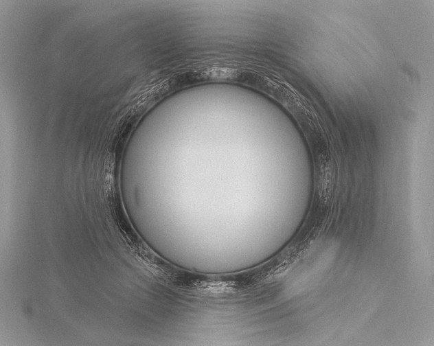 X0000115830553200912041650