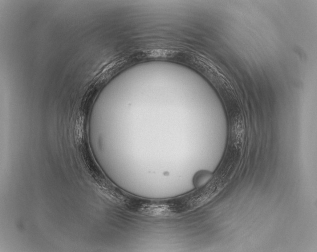 X0000115830554200912041650