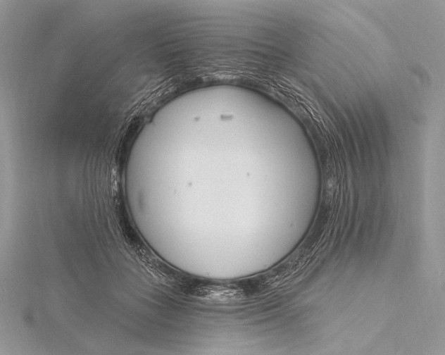 X0000115830555200912041650