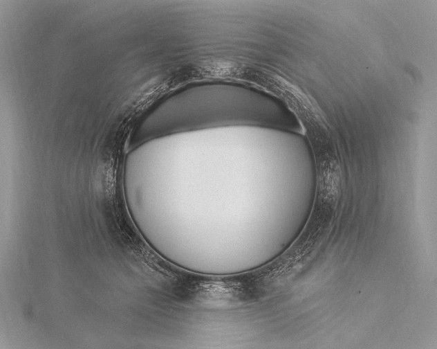 X0000115830558200912041650