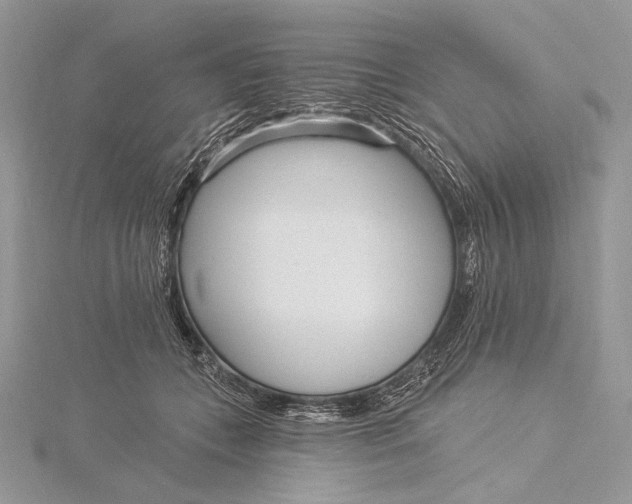 X0000115830559200912041650