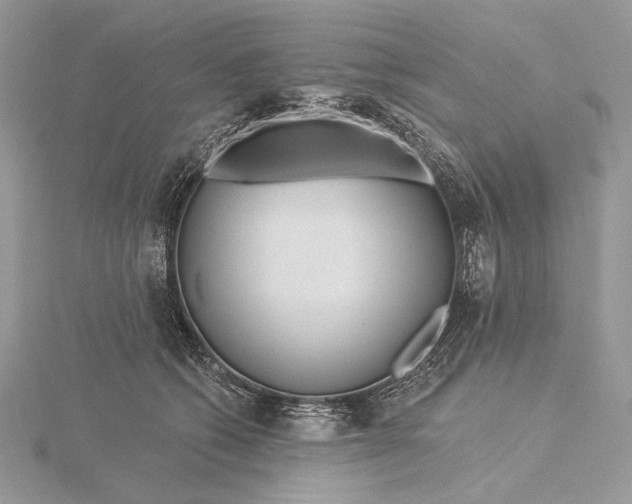 X0000115830562200912041650