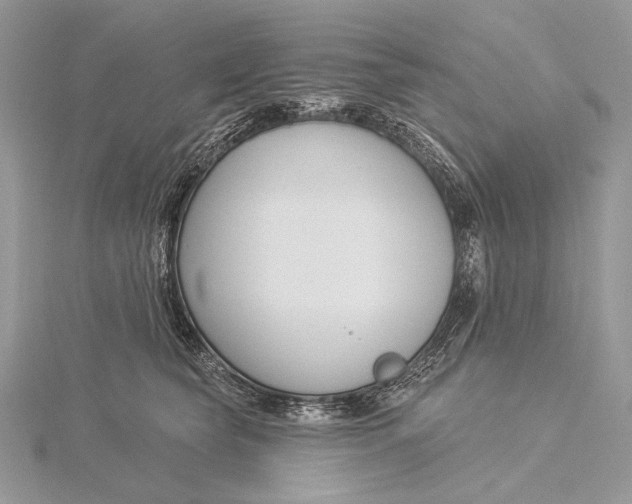 X0000115830565200912041650