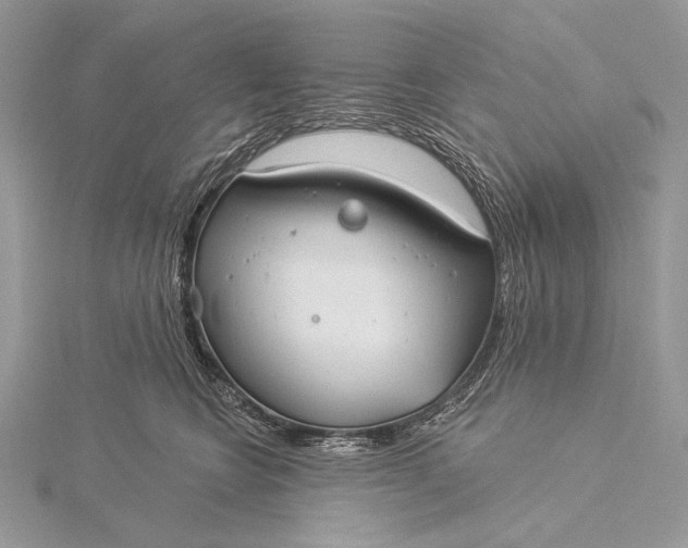 X0000115830566200912041650