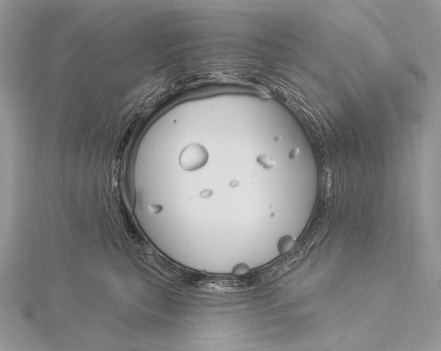 X0000115830567200912041650