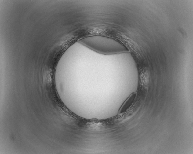 X0000115830570200912041650