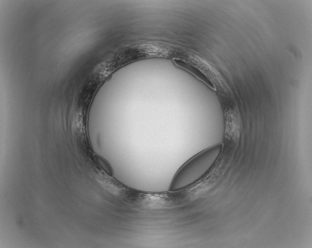 X0000115830573200912041650