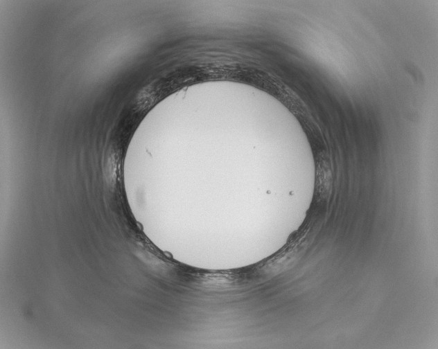 X0000115830574200912041650