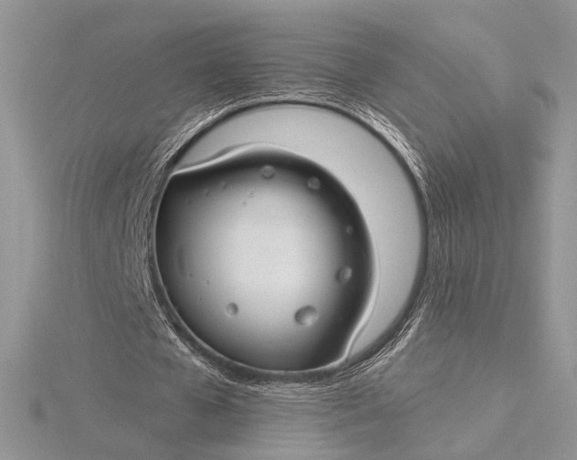 X0000115830577200912041650