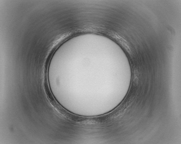 X0000115830578200912041650