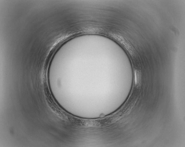 X0000115830579200912041650