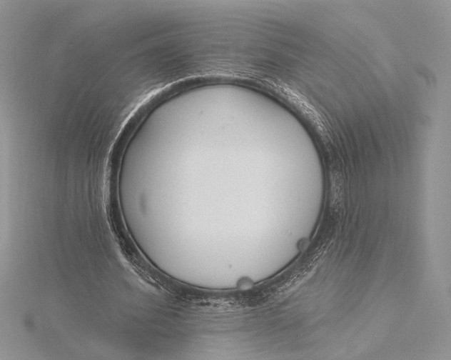 X0000115830580200912041650