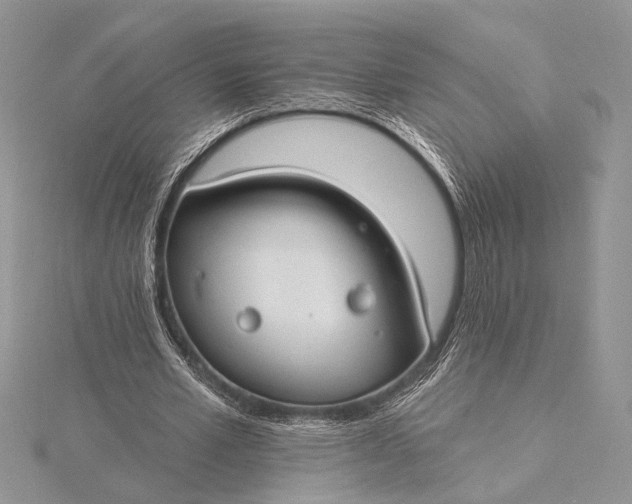 X0000115830581200912041650