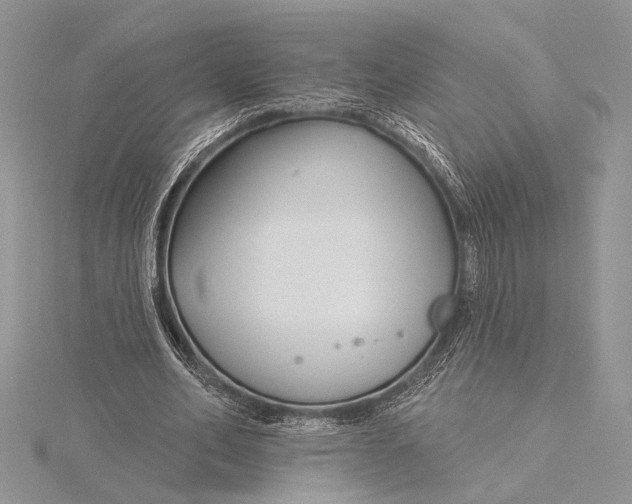 X0000115830582200912041650