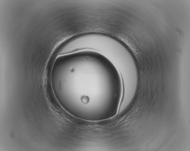 X0000115830583200912041650