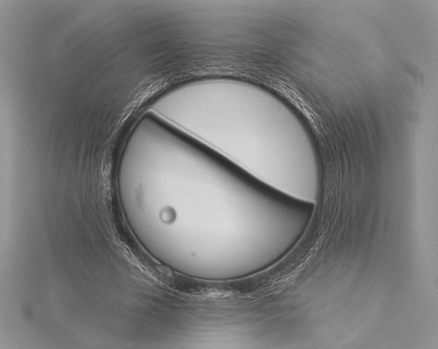 X0000115830585200912041650