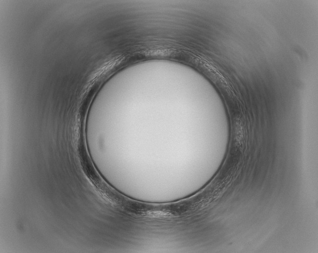 X0000115830586200912041650