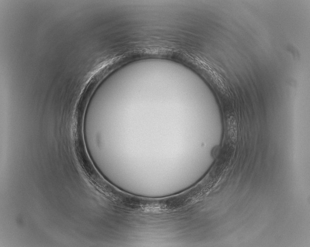 X0000115830587200912041650