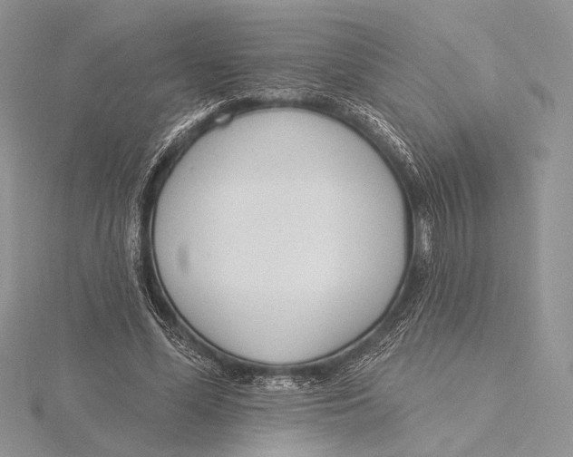 X0000115830588200912041649