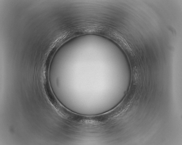 X0000115830590200912041649