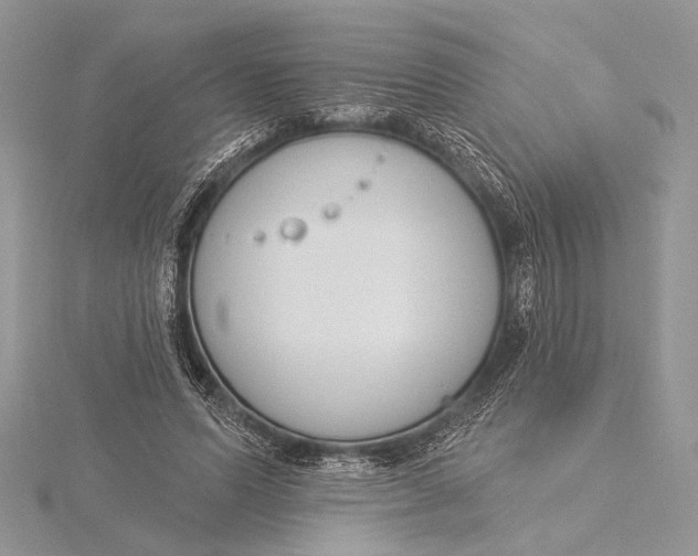 X0000115830591200912041649