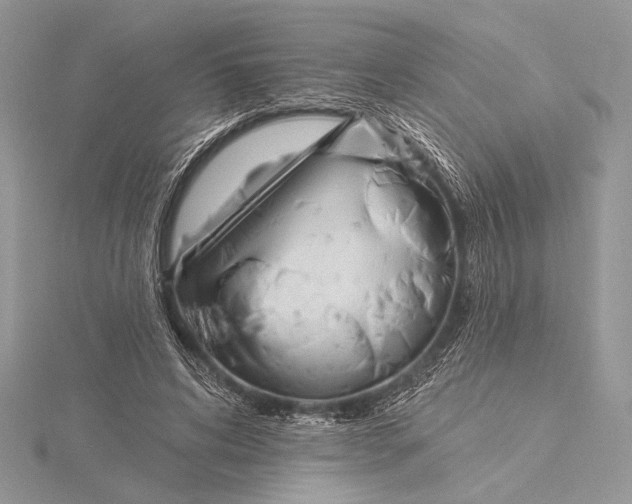 X0000115830592200912041649