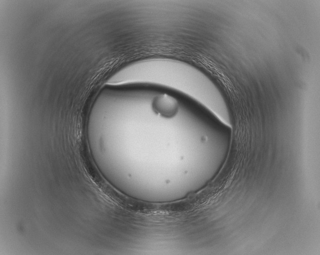 X0000115830593200912041649