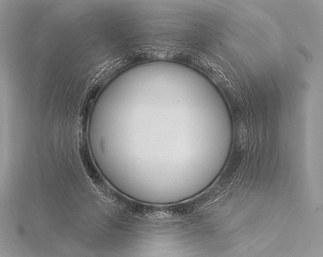 X0000115830594200912041649