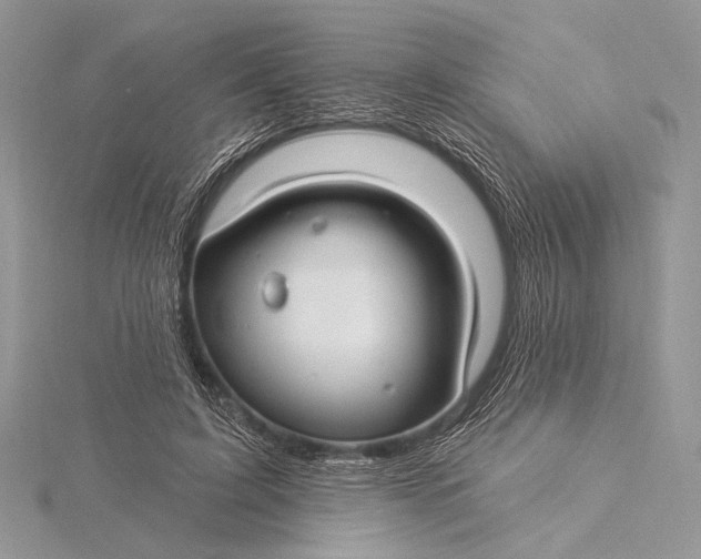 X0000115830595200912041649