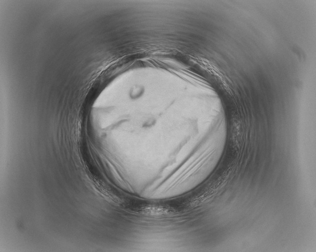 X0000115830596200912041649