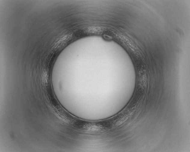 X0000115830597200912041649