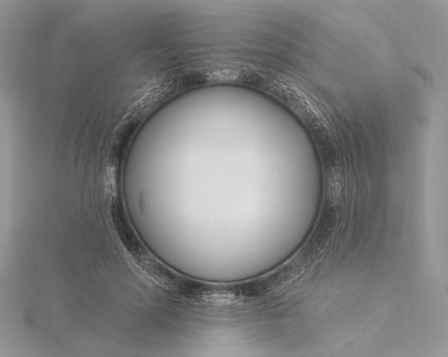 X0000115830598200912041649