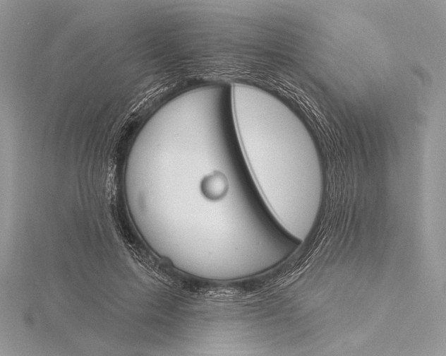 X0000115830599200912041649