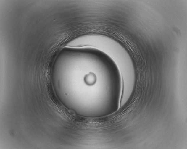 X0000115830601200912041649