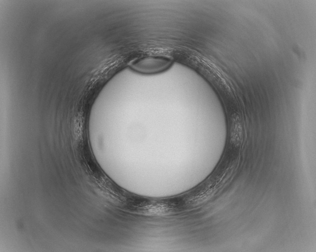 X0000115830604200912041649