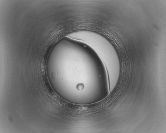 X0000115830609200912041649