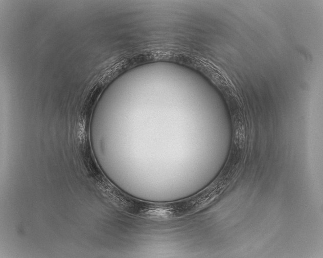 X0000115830610200912041649