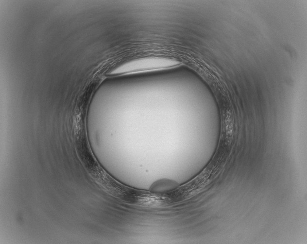 X0000115830611200912041649