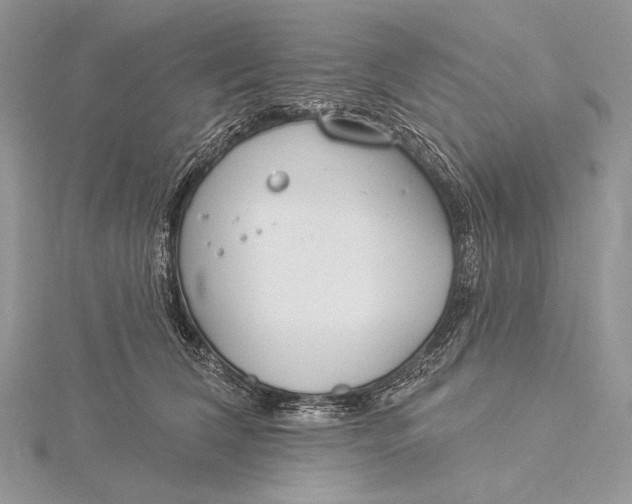 X0000115830612200912041649