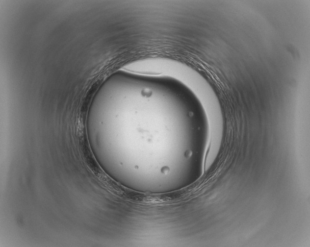 X0000115830613200912041649