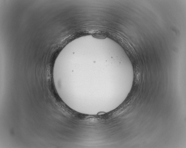 X0000115830620200912041649