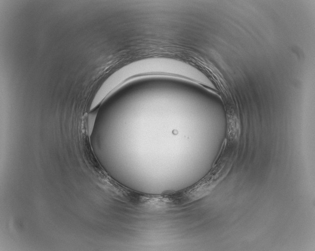 X0000115830621200912041649