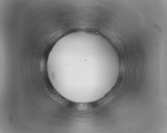 X0000115830623200912041649