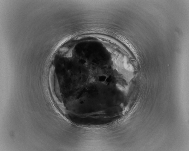 X0000115830625200912041648