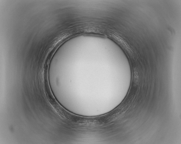 X0000115830626200912041648